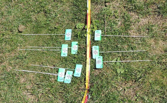 dsco4349_g.jpg