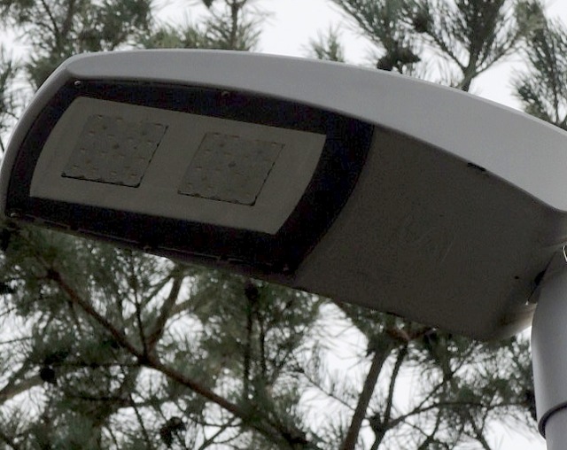dsco5308-b_g.jpg