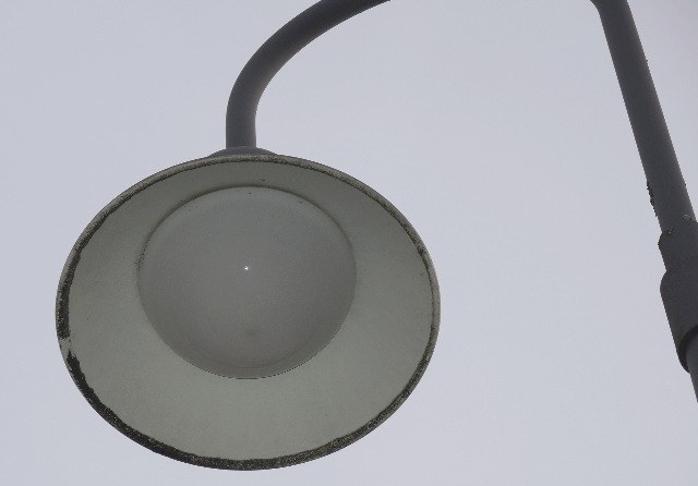 dsco5310_g.jpg