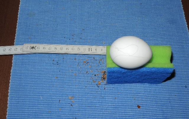 dsco8411_g.jpg
