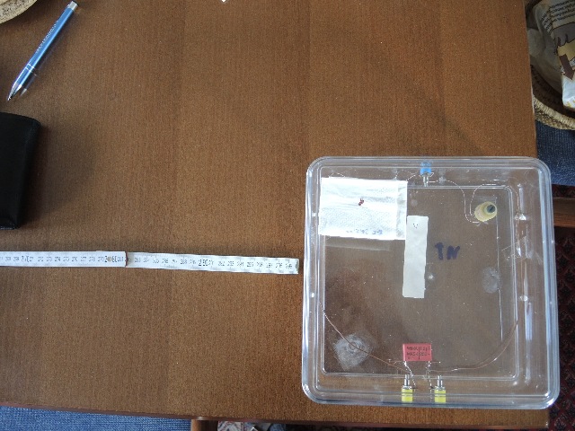 dsco8478_g.jpg