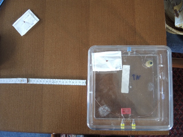 dsco8479_g.jpg