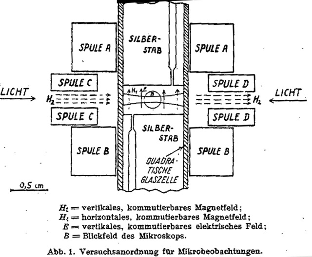 ehrenhaft-abbildungen-seite-480-483_abb-01_g.jpg