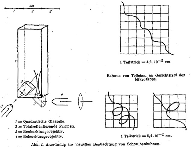 ehrenhaft-abbildungen-seite-480-483_abb-02_g.jpg