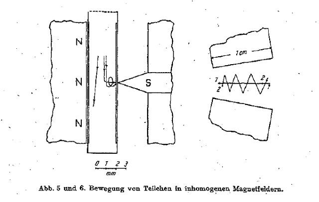 ehrenhaft-abbildungen-seite-480-483_abb-05-06_g.jpg