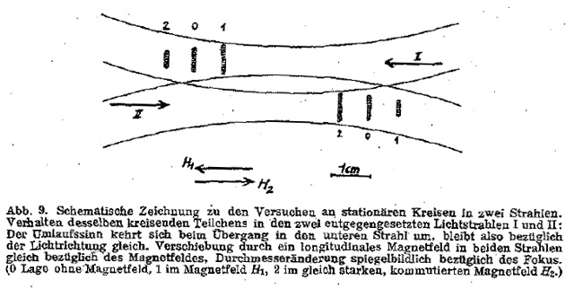 ehrenhaft-abbildungen-seite-480-483_abb-09_g.jpg