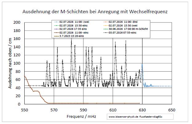 flussfaeden-diag61c-001.jpg