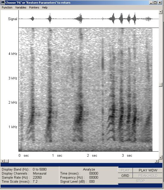 froesche-a-mono22-002_g.jpg