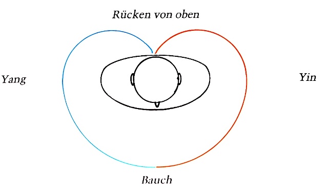 hartmann-yinyang-01-b_g.jpg