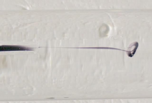 imj_6454-b_g.jpg