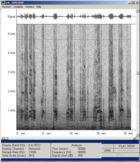 imk_7609-wav-001_g.jpg
