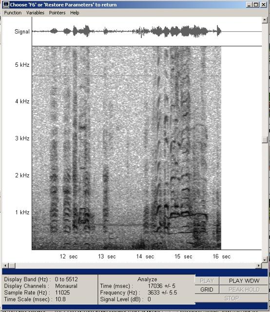 imk_7609-wav-002_g.jpg