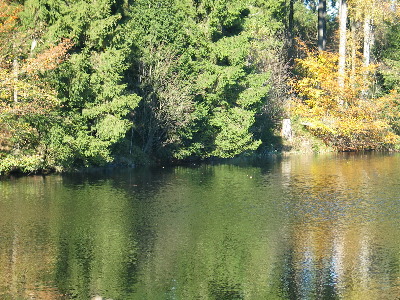 imk_8504_m.jpg