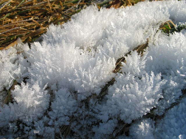 imk_9301_g.jpg