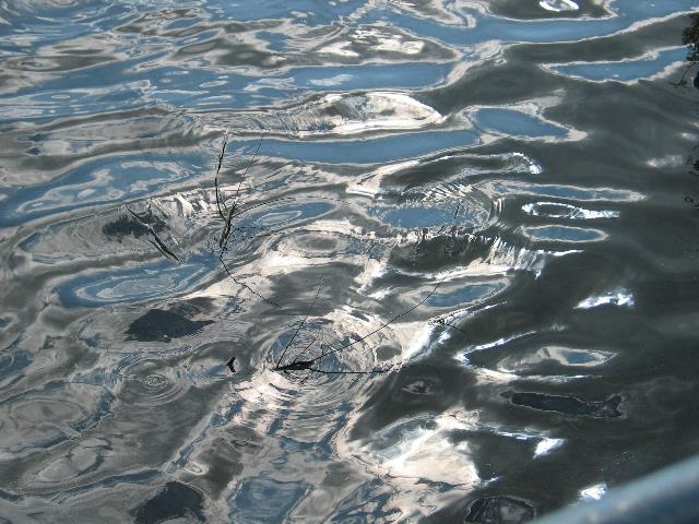 imm_0442_g.jpg