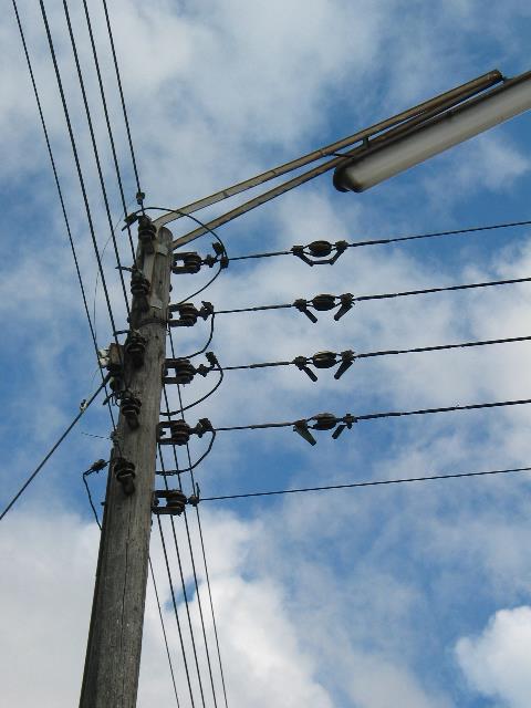 imm_1420_g.jpg