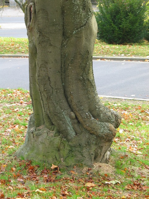 imm_2697_g.jpg