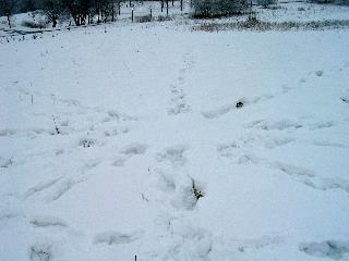imm_3192_m.jpg
