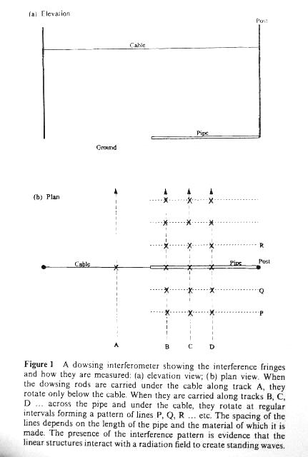 imm_3738_g.jpg