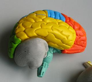 imm_4056_m.jpg