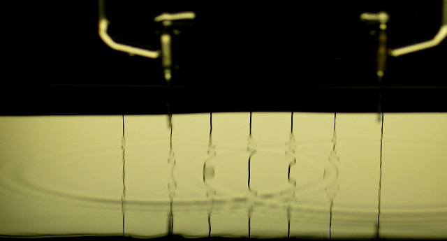 imm_4078_g.jpg