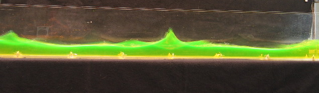 imm_4089_g.jpg