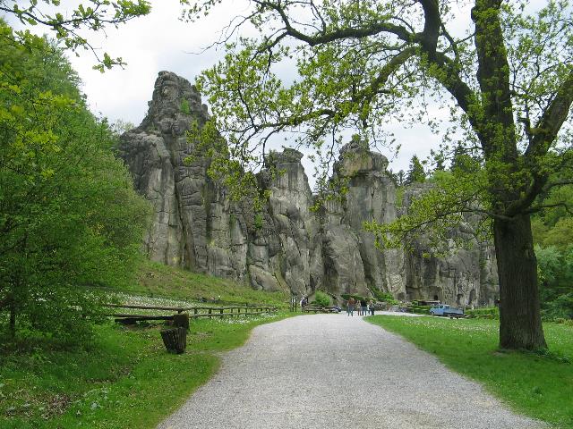 imm_4528_g.jpg