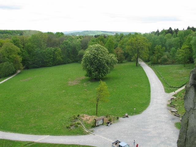 imm_4535_g.jpg