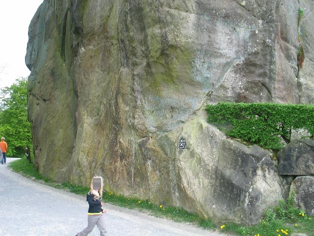 imm_4537_g.jpg