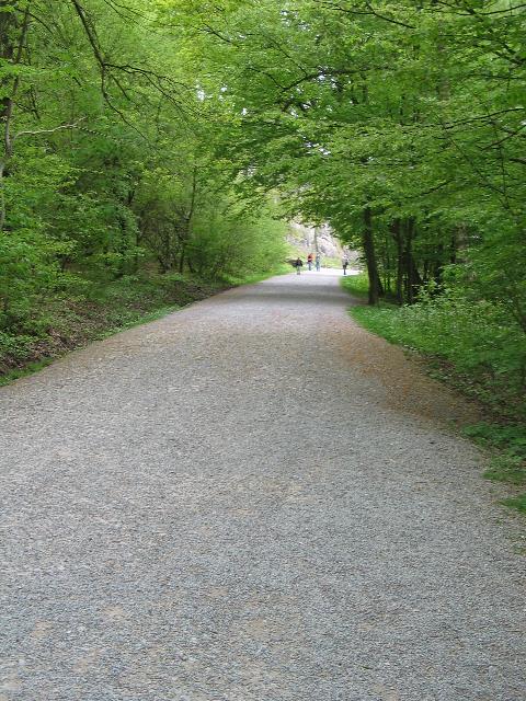 imm_4540_g.jpg