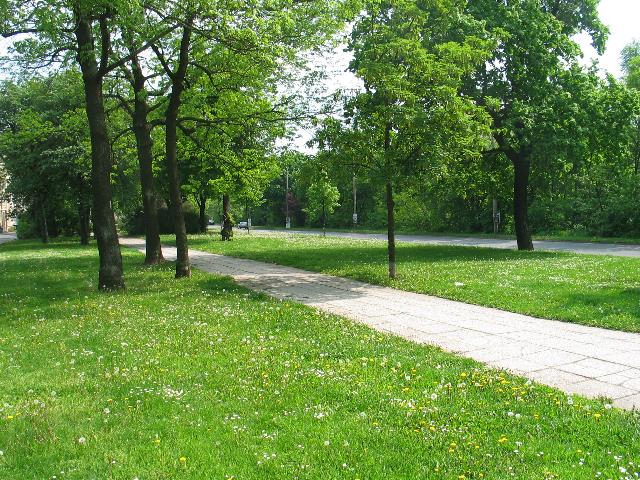 imm_4582_g.jpg