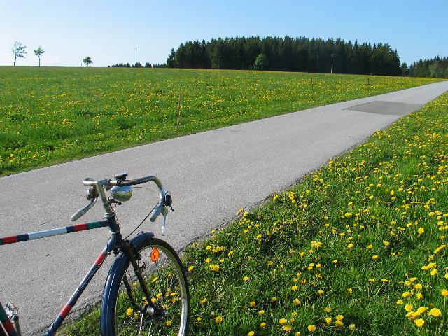 imm_5184_g.jpg