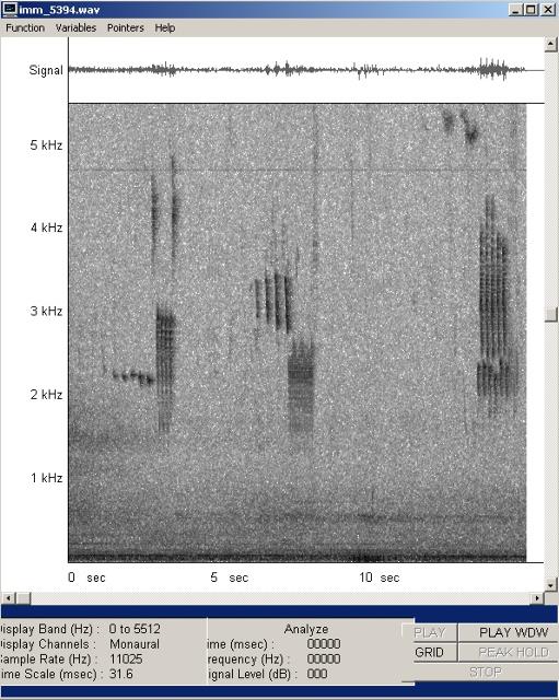 imm_5394-wav-003_g.jpg
