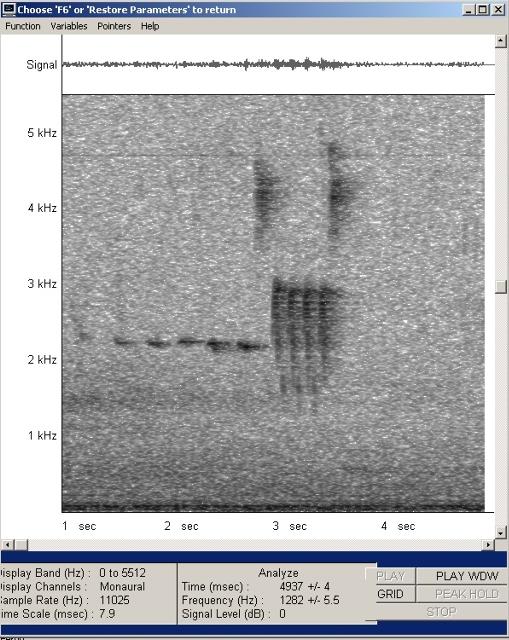 imm_5394-wav-004_g.jpg