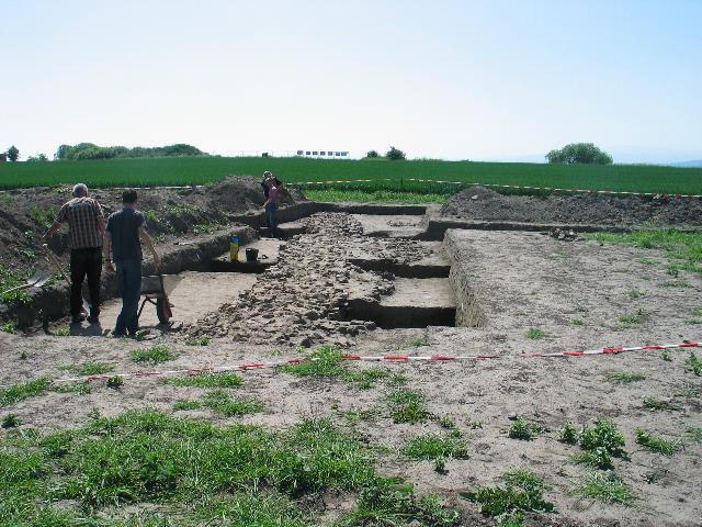 imm_5398_g.jpg