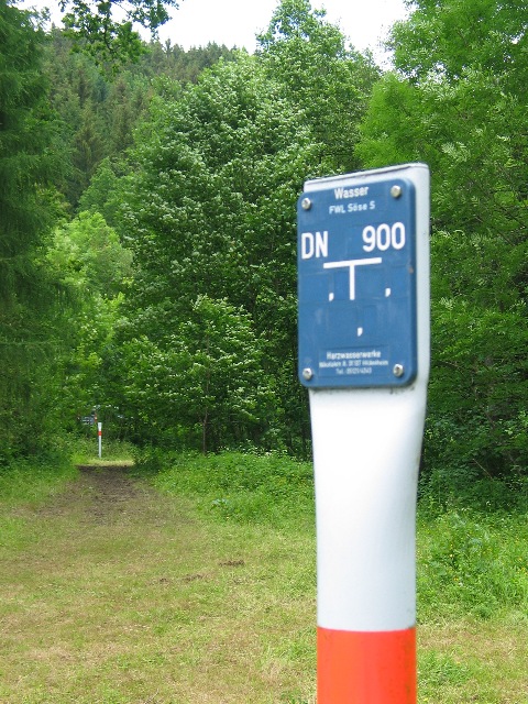 imm_5624_g.jpg
