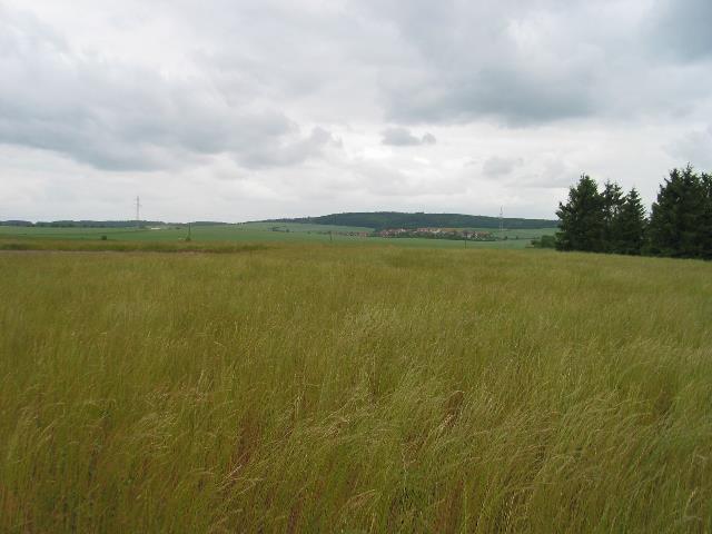 imm_5625_g.jpg