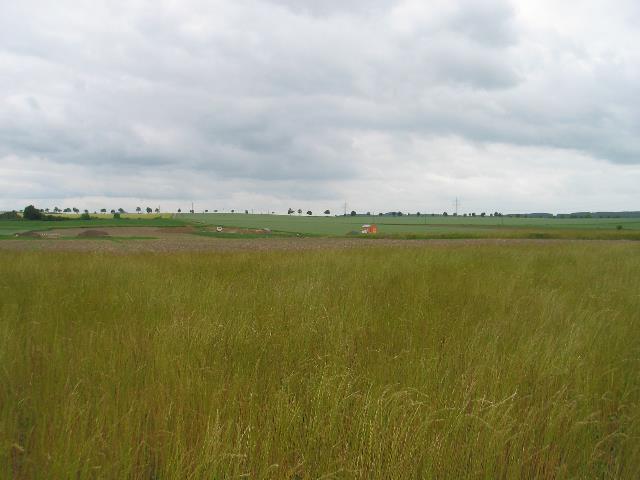 imm_5626_g.jpg