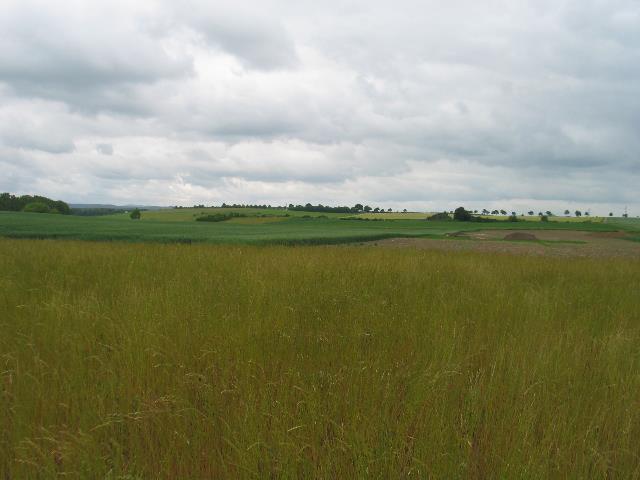 imm_5627_g.jpg