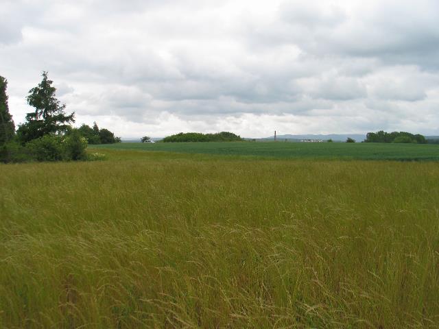 imm_5628_g.jpg