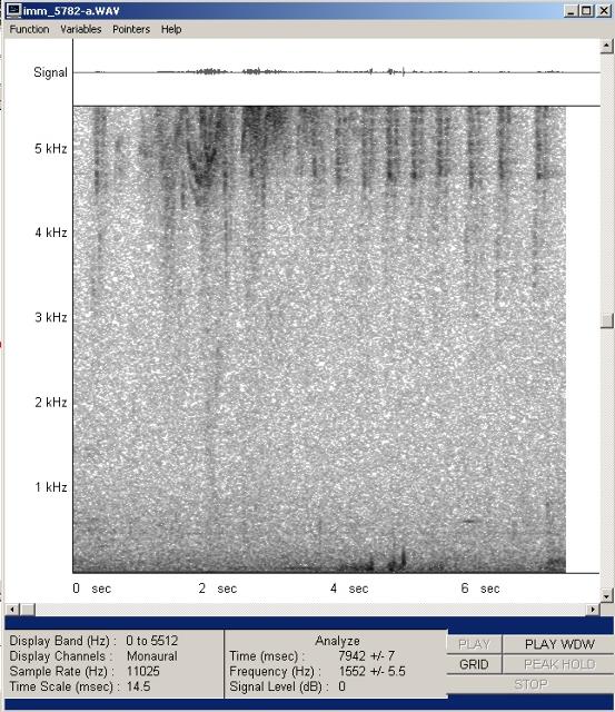 imm_5782-a-wav-001_g.jpg