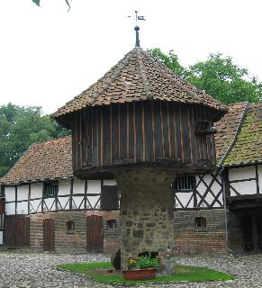 imm_5784_m.jpg