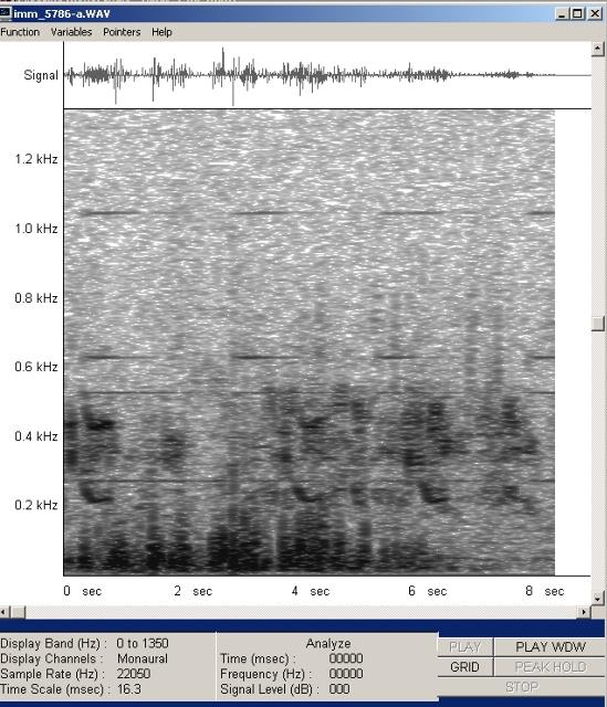 imm_5786-a-wav-001_g.jpg