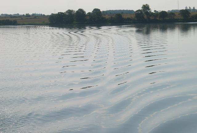 imm_6128_g.jpg