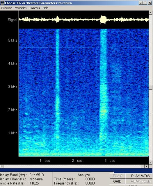 imm_6311-b-wav-001_g.jpg