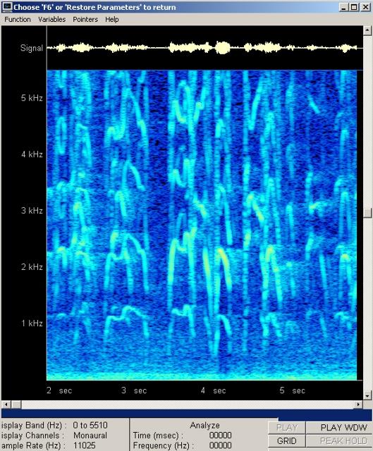imm_6336-wav-002_g.jpg