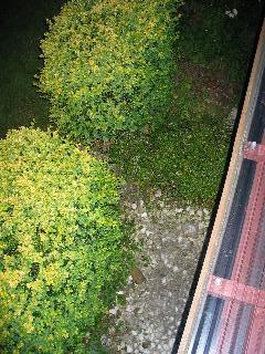 imm_6364_m.jpg