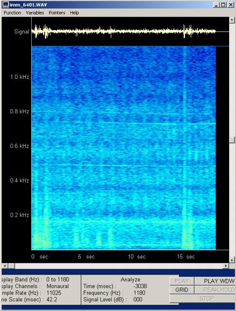 imm_6401-wav-001_g.jpg