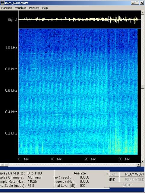 imm_6404-wav-001_g.jpg