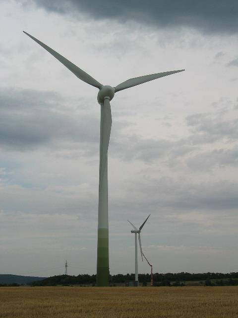 imm_6405_g.jpg